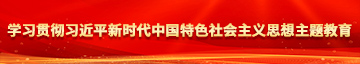 半推半就操女人视频网站学习贯彻习近平新时代中国特色社会主义思想主题教育