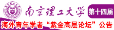 大鸡吧插穴360看点网站南京理工大学第十四届海外青年学者紫金论坛诚邀海内外英才！